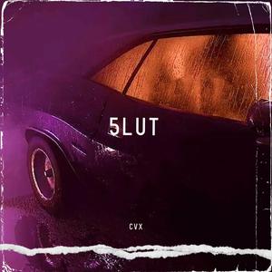 5 L U T