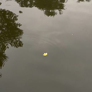 错 （Prod EVOMUSIC）