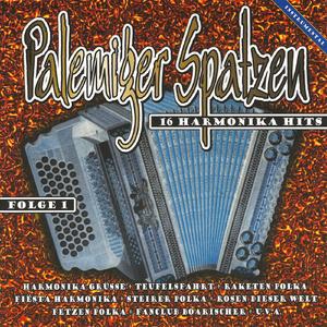 Harmonika Grüße (Radio Version)