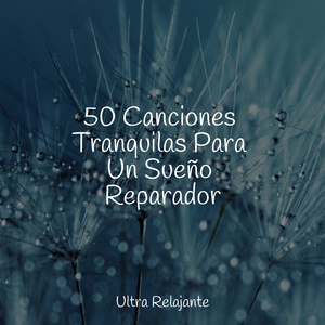 Belleza Conmovedora
