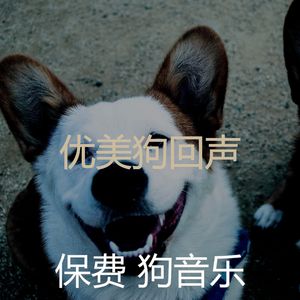 温和幼犬梦想