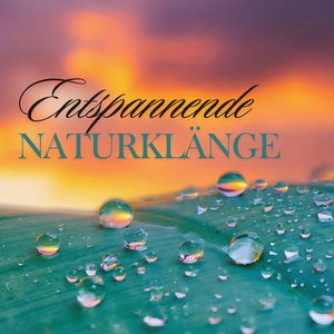 Vom Wind getragene Sanddünen