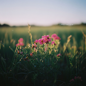 Quiet Kindness