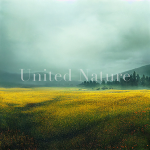 Colorful Hill (Rain)