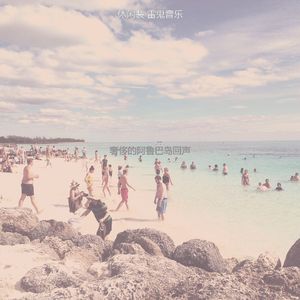 优美巴哈马器乐