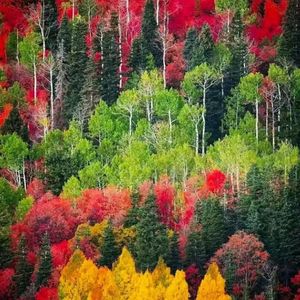 西去的列车-女声版