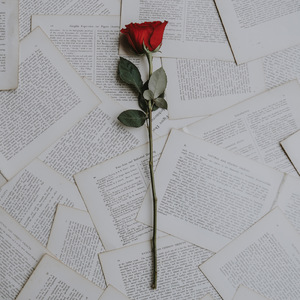 今でも、、 (feat. 和)