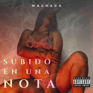 SUBIDO EN UNA NOTA