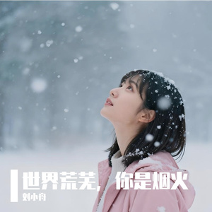 世界荒芜，你是烟火