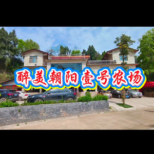 醉美朝阳壹号农场