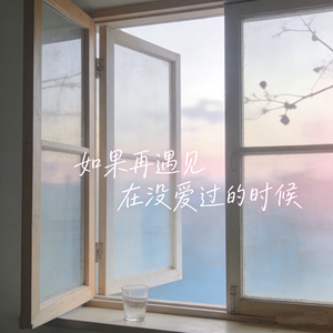 如果再遇见在没爱过的时候