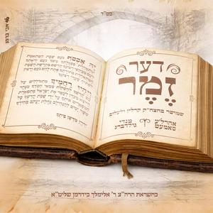 דער זמר (feat. Ahrele Samet)