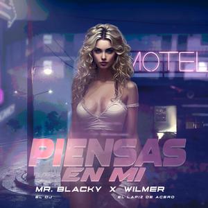 Piensas en Mi (feat. Wilmer el Lapiz de Acero)
