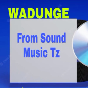 Wadunge (Sounds Music Tz & Follow Bugatti)