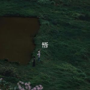 悟