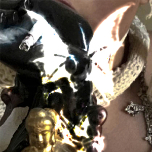 joseabamos los ii (2)