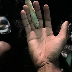 rollup!