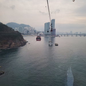 Take Me Home in Your Ambulance