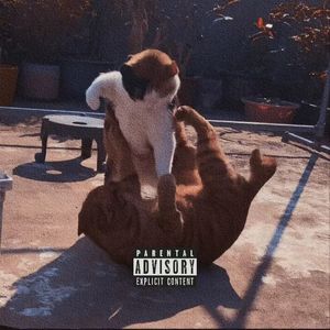 【beat】– “juice WRLD” type beat “你比夏日的微风更令人心动”