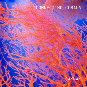 Connecting Corals (Ben Muetsch Remix)