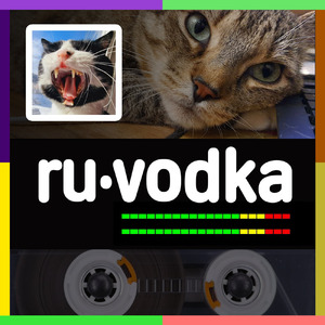 Вика Воробей, песня про Вику, вроде бы красива, с мозгом, как у воробья. Кар, Кар, Каркуша. Тупица. Убогая. Тупая. Сучка. Кривозубая. Идеальна. Нет изъянов. Песня про дуру. Гимн идиотов.