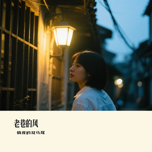 老巷的风