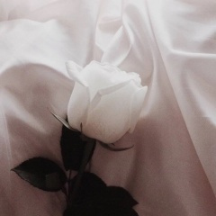 我不要吃菜 我要吃麦当劳