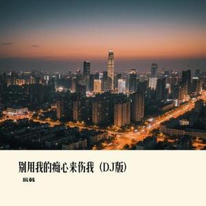 别用我的痴心来伤我 (DJ版)