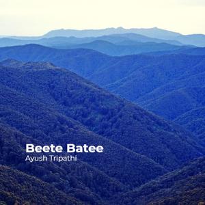 Beete Batee