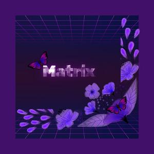 Matrix