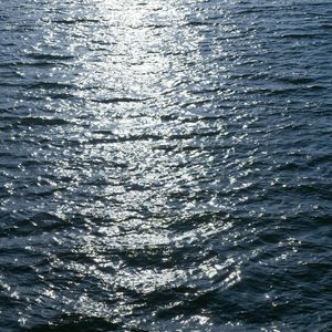 太坦白（cover 大摆特摆本摆）