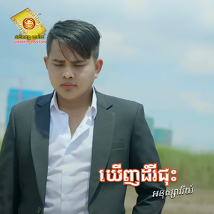 ឃើញដំរីជុះ