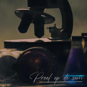 Real Reels (feat. Ekio)