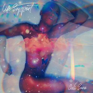 Looking In The Glass