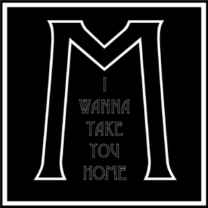 I Wanna Take You Home