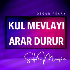 Kul Mevlayı Arar Durur