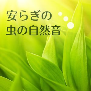 秋の森の環境音