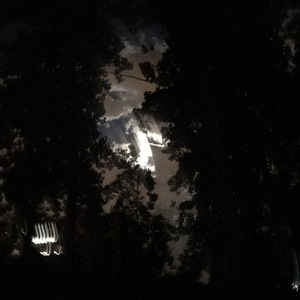 活在当下（Prod by 张杰峻）