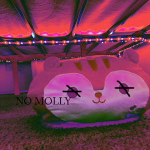 NO MOLLY