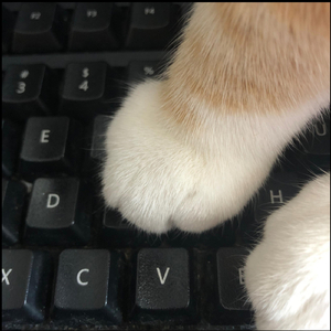 02;[O'''''''''bk ]0…..\v ]0.