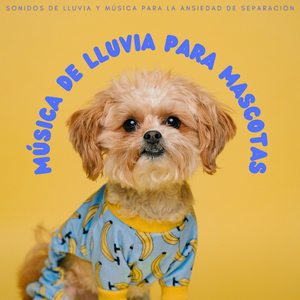 MÃºsica AcuÃ¡tica Relajante Para Mascotas