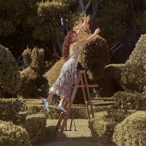 Seems Like Old Times