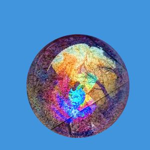 頓 SUDDEN DEATH 死 - 切片