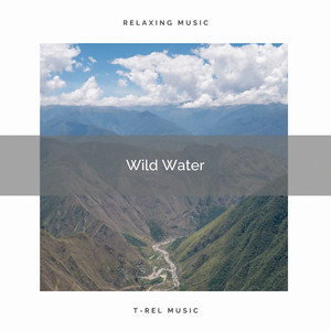Virgin Brook Music