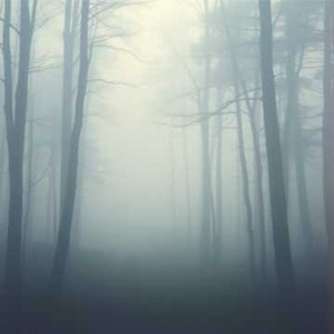 夜と朝のあいだに