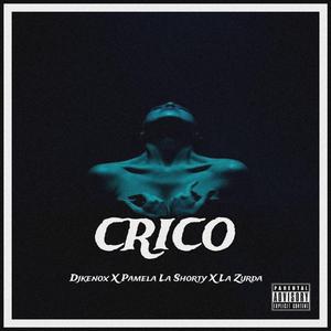Crico (feat. DJKenox & Zurda)