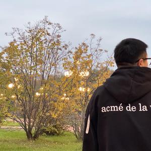 恋爱日记Love Diary