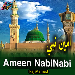 Ameen Nabi