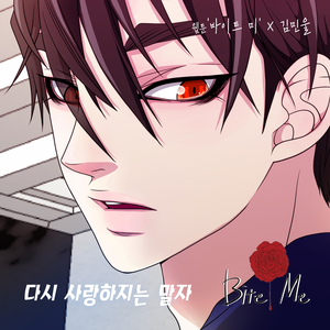 다시 사랑하지 말자