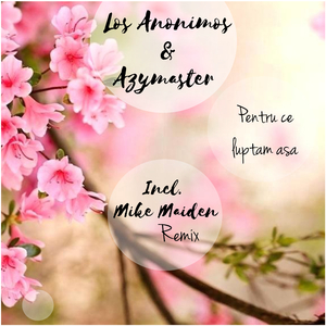 Pentru Ce Luptam Asa (Mike Maiden Remix)